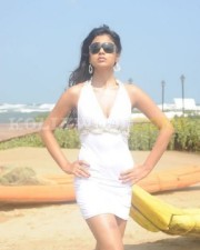 Hot And Sexy Shriya Pictures
