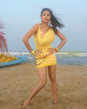 Hot And Sexy Shriya Pictures