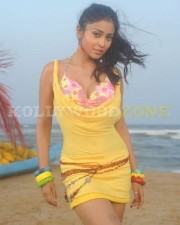 Hot And Sexy Shriya Pictures