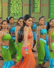 Hot And Sexy Shriya Pictures