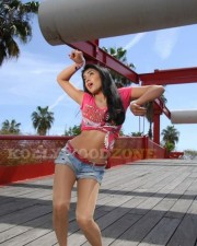 Hot And Sexy Shriya Saran In Don Seenu Movie