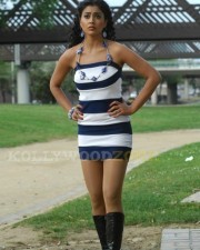 Hot And Sexy Shriya Saran In Don Seenu Movie