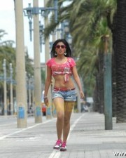 Hot And Sexy Shriya Saran In Don Seenu Movie