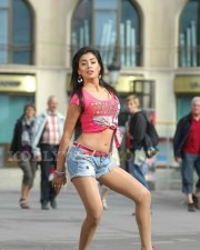 Hot And Sexy Shriya Saran In Don Seenu Movie