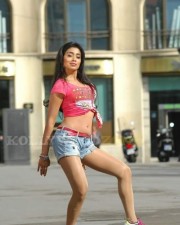 Hot And Sexy Shriya Saran In Don Seenu Movie