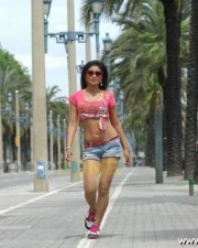 Hot And Sexy Shriya Saran In Don Seenu Movie