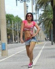 Hot And Sexy Shriya Saran In Don Seenu Movie