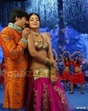Hot And Sexy Shriya Saran Pics