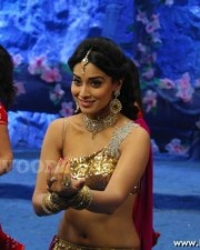 Hot And Sexy Shriya Saran Pics