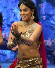 Hot And Sexy Shriya Saran Pics