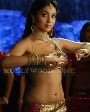 Hot And Sexy Shriya Saran Pics