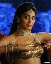 Hot And Sexy Shriya Saran Pics