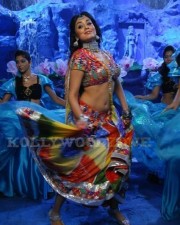 Hot And Sexy Shriya Saran Pics