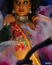 Hot And Sexy Shriya Saran Pics