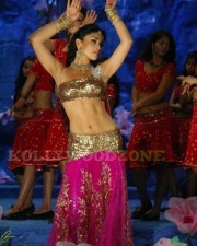 Hot And Sexy Shriya Saran Pics