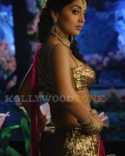 Hot And Sexy Shriya Saran Pics
