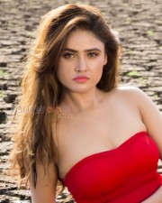 Hot And Sexy Sony Charishta Photoshoot Pictures