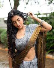 Hot Rashi Singh Navel in a Golden Grey Saree with Matching Sleeveless Blouse Photos 03
