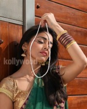 Hot Sexy Shriya In Pavitra Movie Pictures