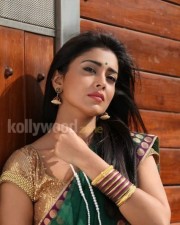 Hot Sexy Shriya In Pavitra Movie Pictures
