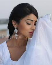 Hot Sexy Shriya In Pavitra Movie Pictures