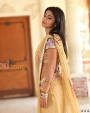 Hot Sexy Shriya In Pavitra Movie Pictures