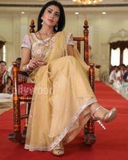 Hot Sexy Shriya In Pavitra Movie Pictures