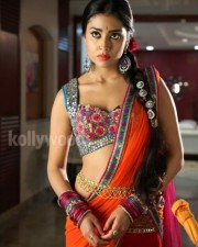 Hot Sexy Shriya In Pavitra Movie Pictures