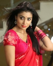 Hot Sexy Shriya In Pavitra Movie Pictures
