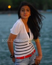 Hot Sexy Shriya Saran In Don Seenu Movie Stills