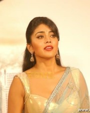 Hot Shirya Saran Pictures