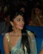 Hot Shirya Saran Pictures