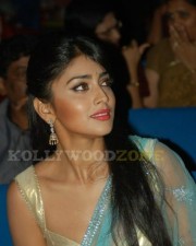 Hot Shirya Saran Pictures