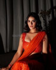 Hot and Curvy Kavya Thapar Cleavage and Navel in an Orange Saree with a Deep Neck Blouse Photos 04