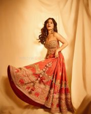 Hot and Sexy Nabha Natesh in a Regal Red and Gold Strapless Corset Style Top with a Matching Red Silk Lehenga Skirt Pictures 02