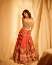 Hot and Sexy Nabha Natesh in a Regal Red and Gold Strapless Corset Style Top with a Matching Red Silk Lehenga Skirt Pictures 06
