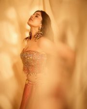 Hot and Sexy Nabha Natesh in a Regal Red and Gold Strapless Corset Style Top with a Matching Red Silk Lehenga Skirt Pictures 07