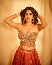 Hot and Sexy Nabha Natesh in a Regal Red and Gold Strapless Corset Style Top with a Matching Red Silk Lehenga Skirt Pictures 08