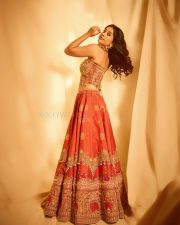 Hot and Sexy Nabha Natesh in a Regal Red and Gold Strapless Corset Style Top with a Matching Red Silk Lehenga Skirt Pictures 09