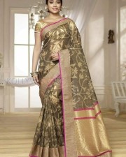 Indian Actress Shriya Saran Pictures