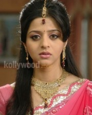 Vedhika 33 Kannada Actress Vedhika Kumar Photos