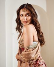 Kiss Kiss Bang Bang Actress Neha Shetty in a Sleeveless Embroidered Lehenga Choli Pictures 04