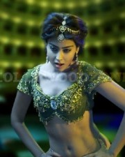 Latest Sexy Stills Of Shriya