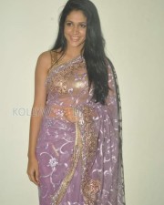 Lavanya Tripati Sexy Saree Pictures