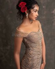 Lockdown Actress Anupama Parameswaran in a Rose Champagne Gold Italian Tulle Hand Embroidered Gown Pictures 02