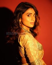 Majestic Actress Shriya Saran in a Gold Tissue Saree Photos 02