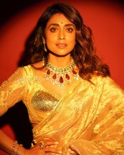 Majestic Actress Shriya Saran in a Gold Tissue Saree Photos 04