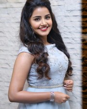 Malayalam Actress Anupama Parameswaran New Pictures