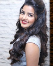 Malayalam Actress Anupama Parameswaran New Pictures