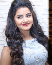 Malayalam Actress Anupama Parameswaran New Pictures